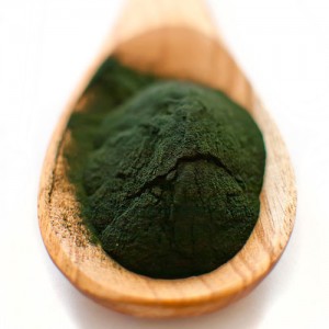 La spiruline : l’algue miracle ! - La maison des filles