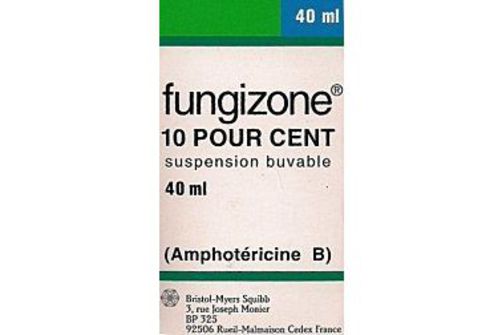 fungizone