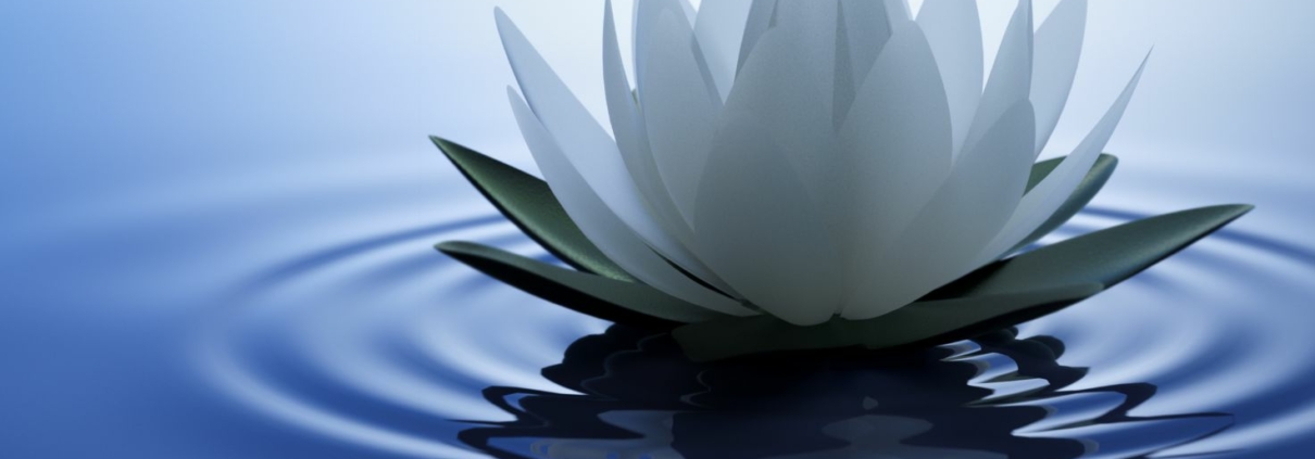 White Lotus la série qui m’a scotchée au canapé (et un peu mise mal à l’aise)