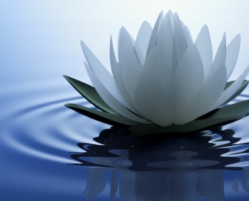 White Lotus la série qui m’a scotchée au canapé (et un peu mise mal à l’aise)