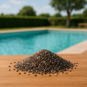 graines de chia